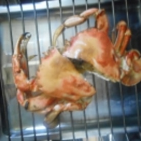 焼きガニと新タマネギの味噌汁 レシピ 作り方 By Mococo05 楽天レシピ 焼きガニと新タマネギの味噌汁 レシピ 作り方 By Mococo05 楽天レシピ